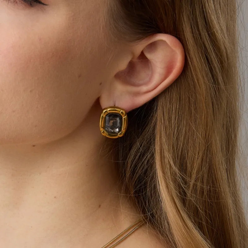 Stainless Steel Smoky Emerald-Cut Glass Earrings