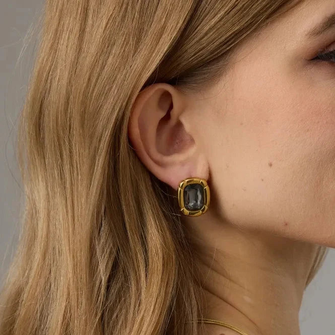 Stainless Steel Smoky Emerald-Cut Glass Earrings