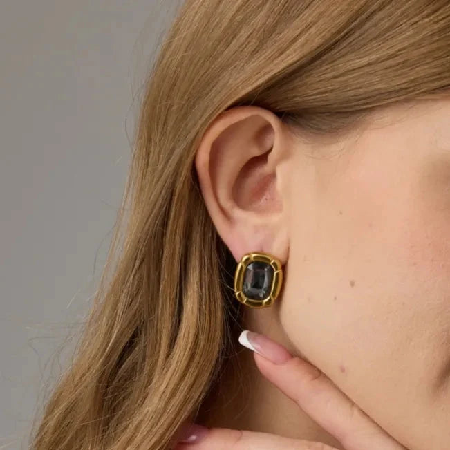 Stainless Steel Smoky Emerald-Cut Glass Earrings