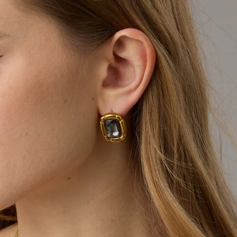 Tarnish-Free Stainless Steel Smoky Emerald-Cut Glass Earrings
