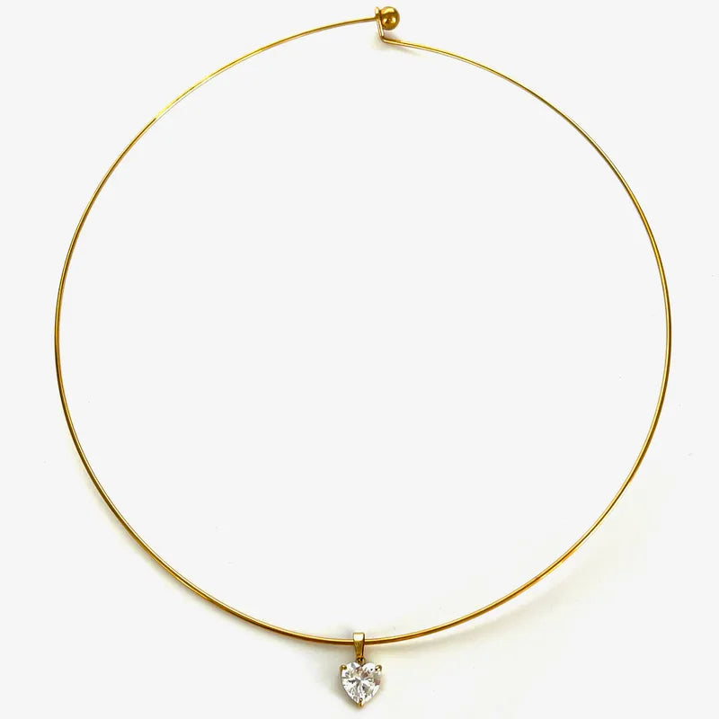 The Carina 316L Stainless Steel Claw Solitaire Collar